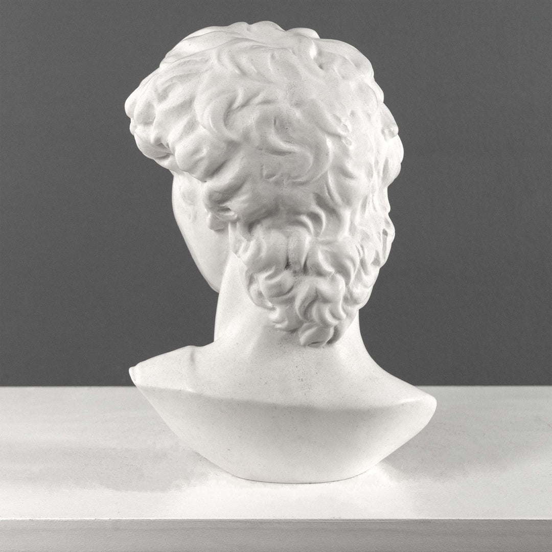 Busto de David de Miguel Ángel (Grande)