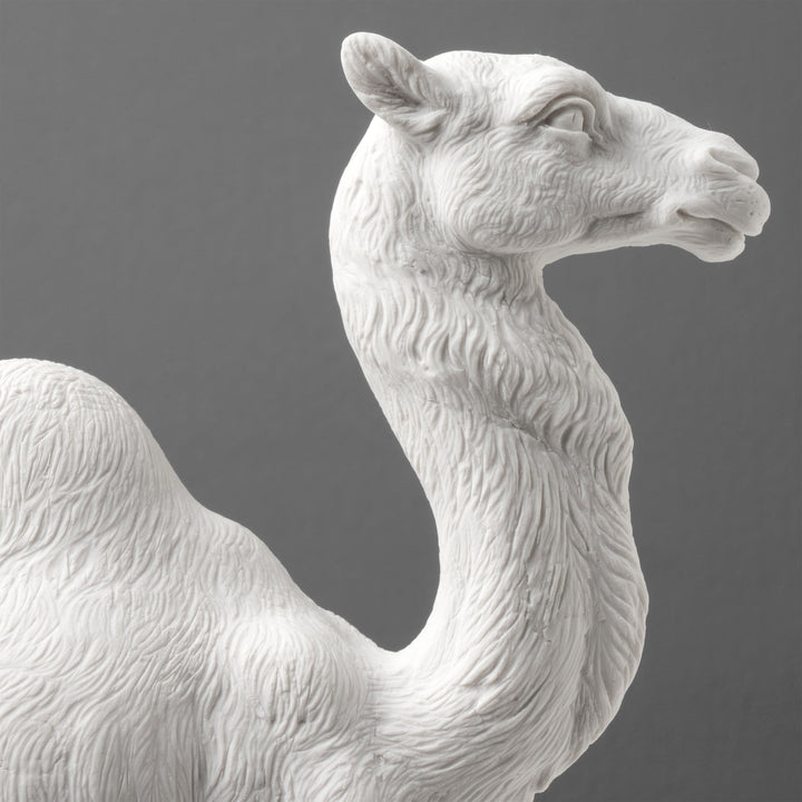 Estatua de Camello Árabe