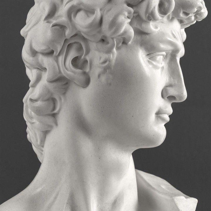 Busto de David de Miguel Ángel con base de mármol negro (Grande)