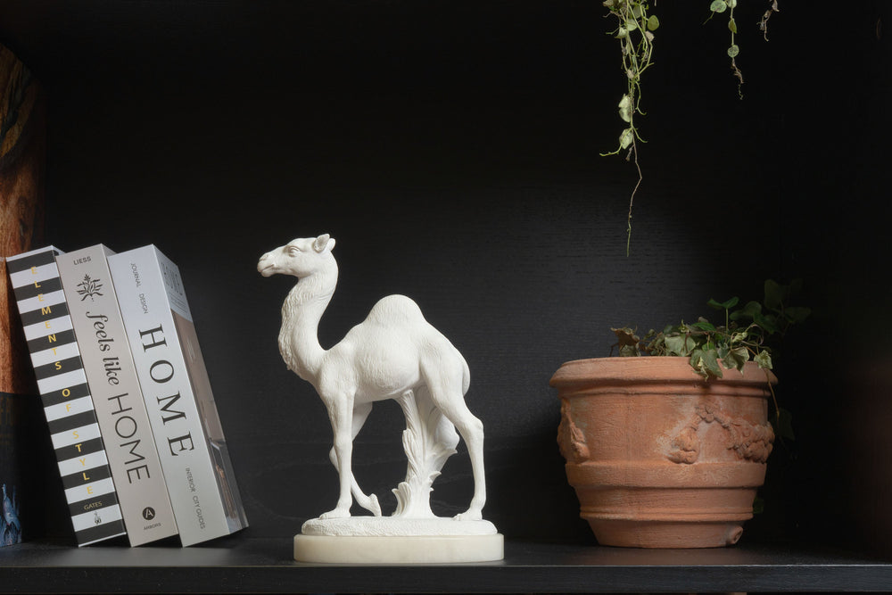 Estatua de Camello Árabe