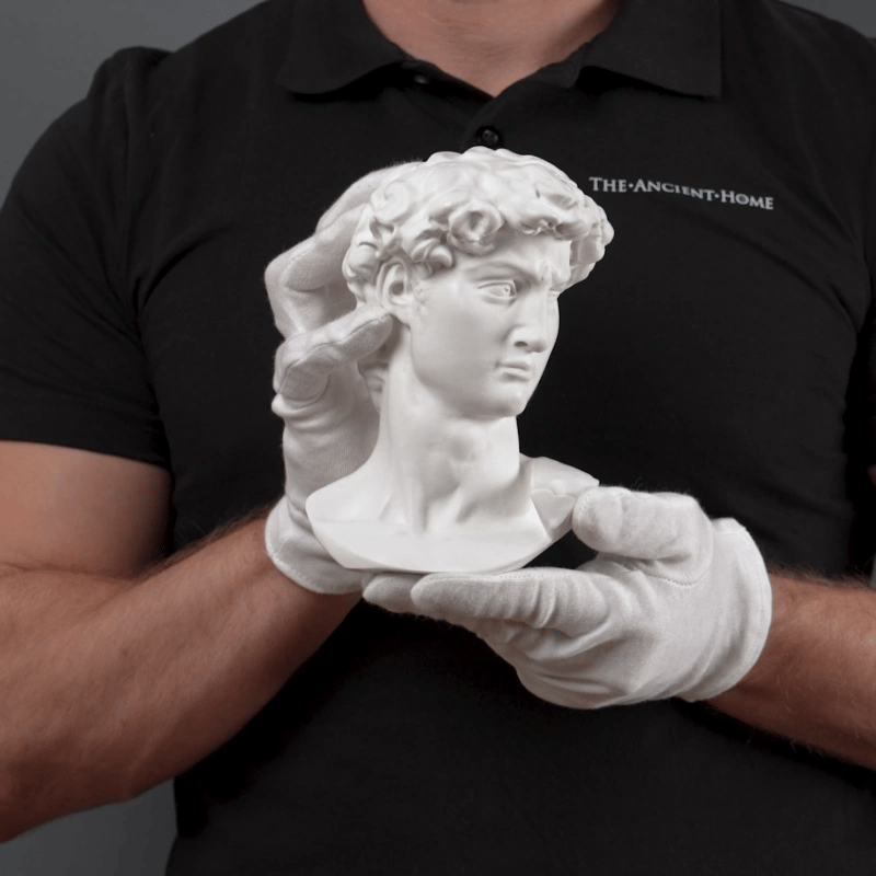 Busto de David de Miguel Ángel (Pequeño)