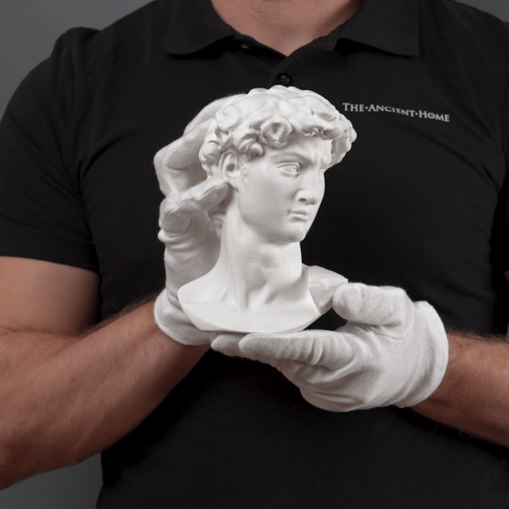Busto de David de Miguel Ángel (Pequeño)