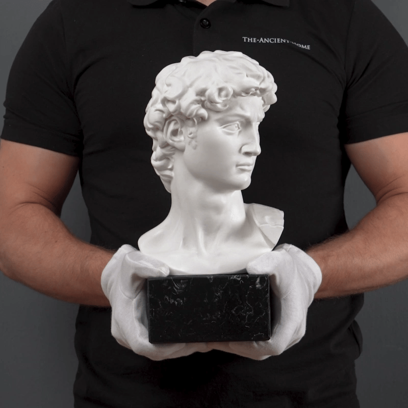 Busto de David de Miguel Ángel con base de mármol negro (Grande)