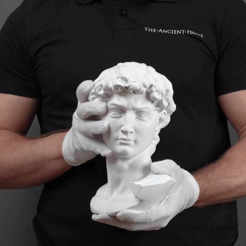Busto de David de Miguel Ángel (Grande)