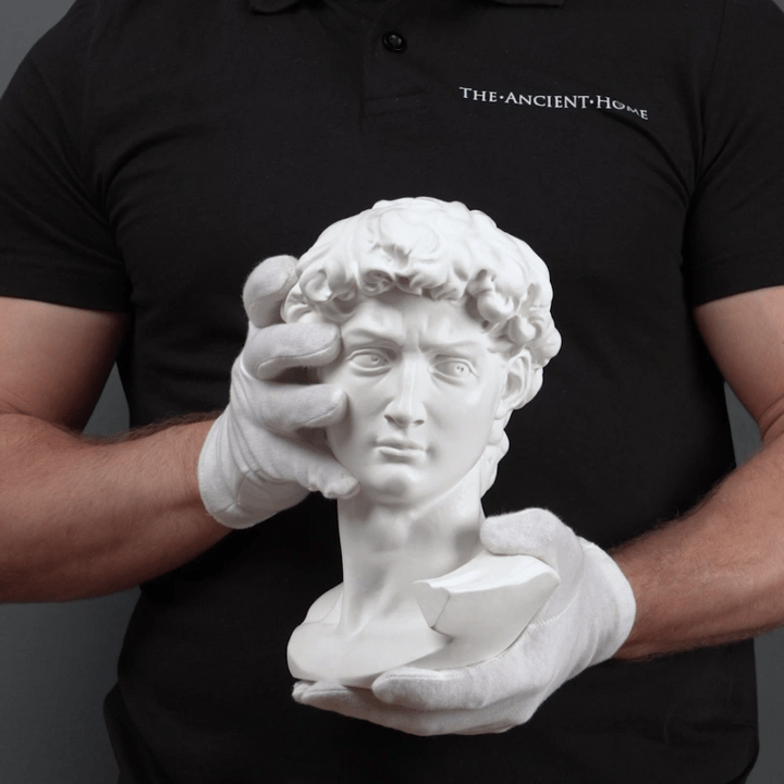 Busto de David de Miguel Ángel (Grande)