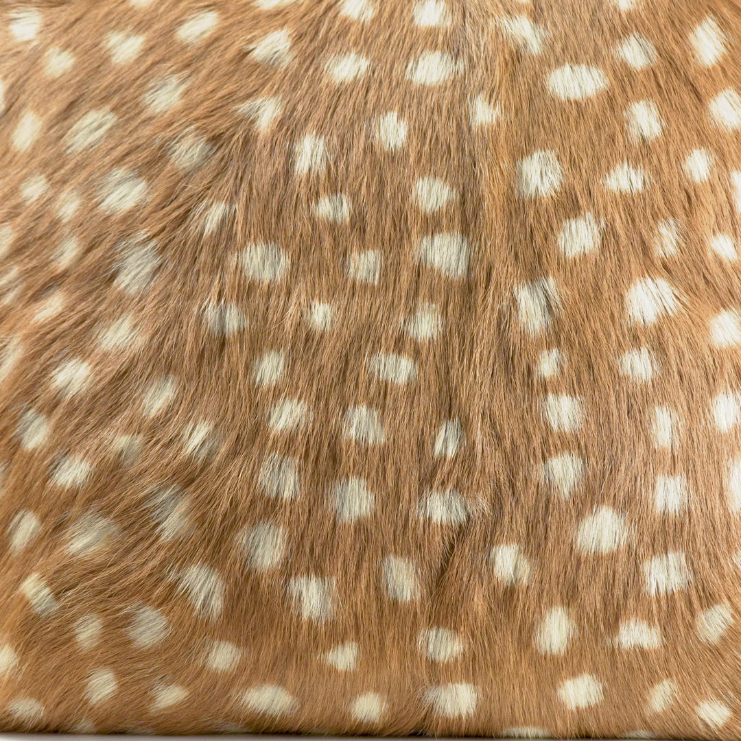 Cojín de Piel de Ciervo Marrón con Motas (Capra aegagrus hircus)