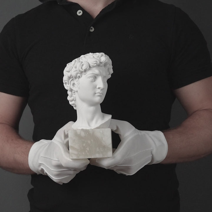 Busto de David (de Miguel Ángel)