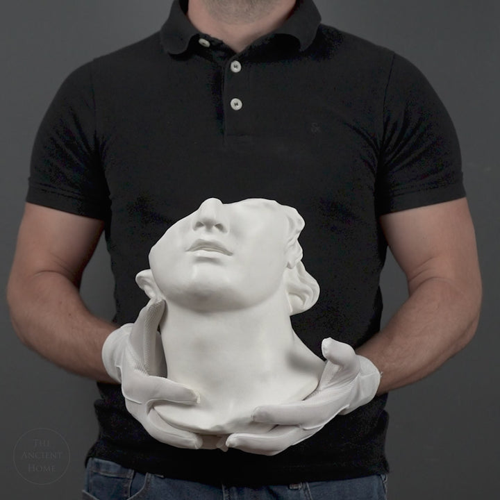 Escultura Fragmento del Busto de Apolo – Inspirada en la Cabeza Colosal de un Joven