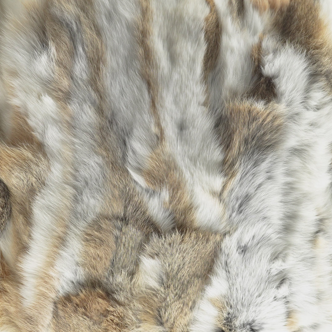 Cojín de Piel de Conejo Beige (Oryctolagus cuniculus)