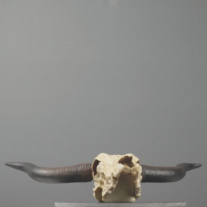 Craneo toro longhorn escultura pared (Estatua resina)